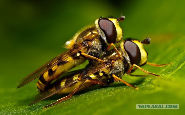 Никогда так не делайте