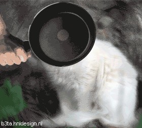 Фотожаба: Контракт на Любовь