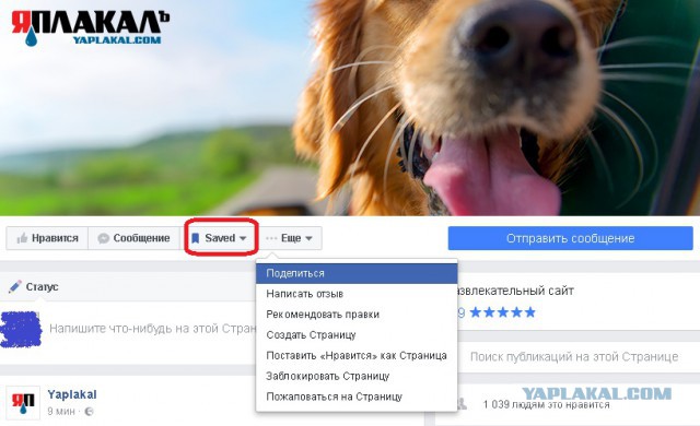 ЯП на Facebook: возрождение
