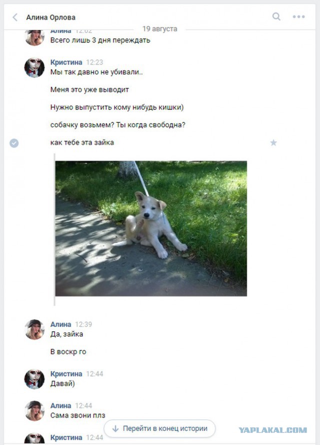 Живодерки из Хабаровска