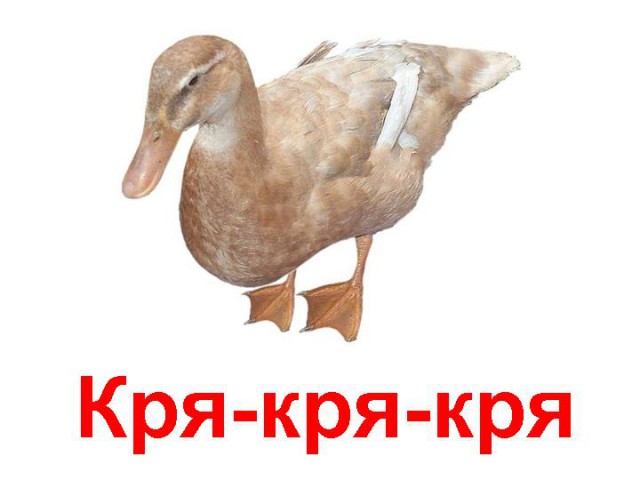 Футбол Чемпионат России 2016-17. Кубок России,РФПЛ,ФНЛ. Часть XVIII