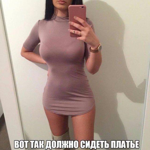 Прикольные картинки 20.06.2017.