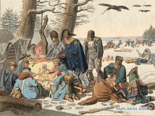Законы выживания.Осень 1812