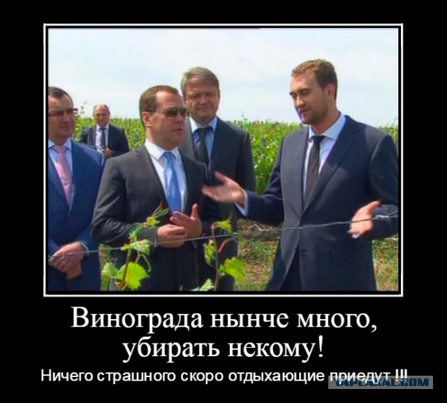 Туристам в крыму предложили подработк