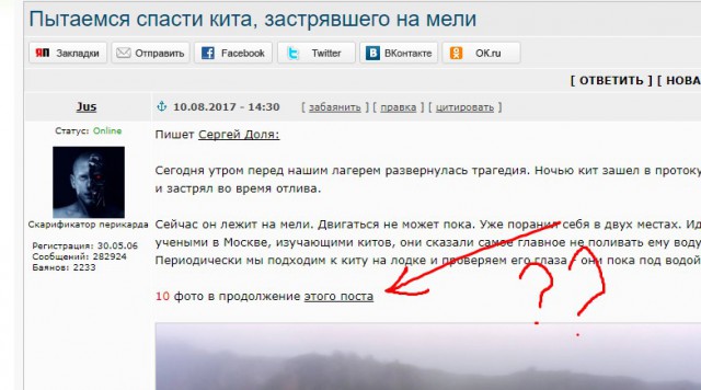 Пытаемся спасти кита, застрявшего на мели