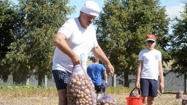 Жареная смерть: 236 человек умерло из-за эксперимента с жареной картошкой