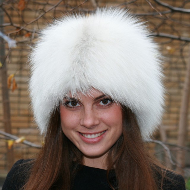 Дружелюбный арктический песец