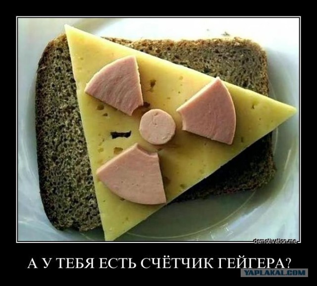 Персональный счётчик радиации