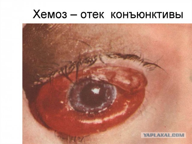 Околомедицинскую деградацию заказывали? Нет? А придётся!