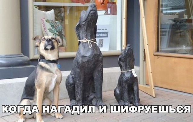 Нестандартный юмор