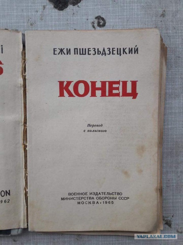 38 интересных и веселых картинок