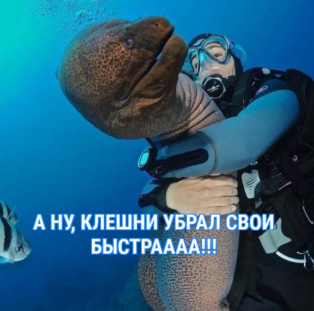 Немного картинок в эту пятницу