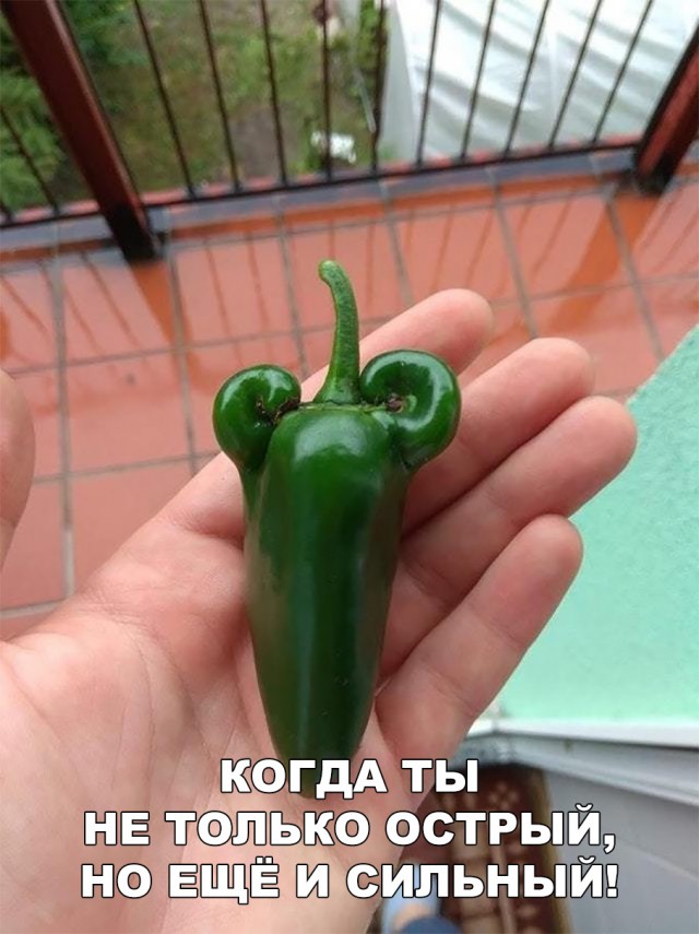 Нестандартный юмор