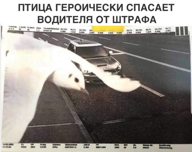 Прикольные картинки абавсём