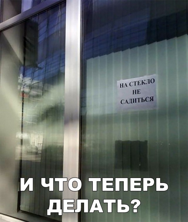 Нестандартный юмор