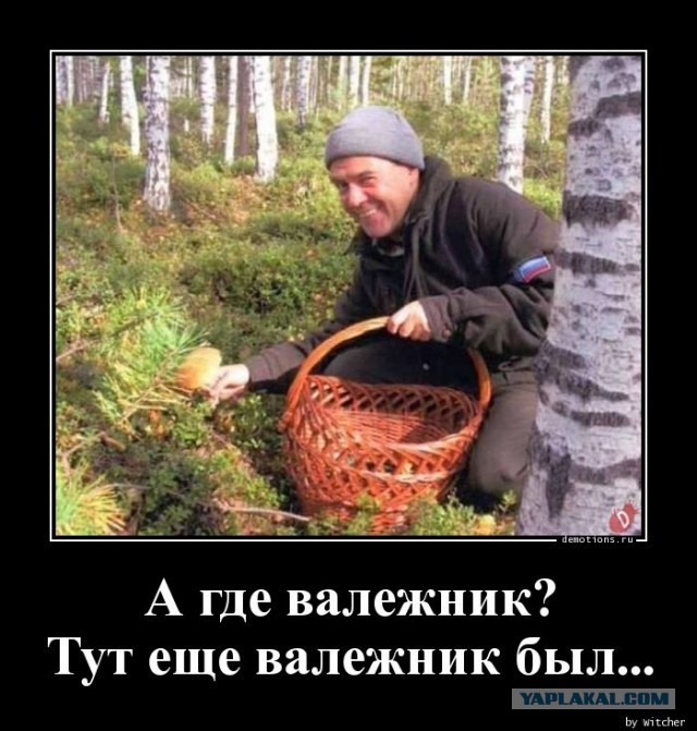 Россиянам разрешили охотиться с луком и стрелами