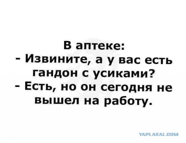 Забавные комментарии из социальных сетей 26.11.19