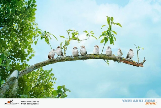 Лучшая печатная реклама