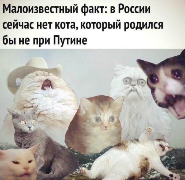 Путин навсегда
