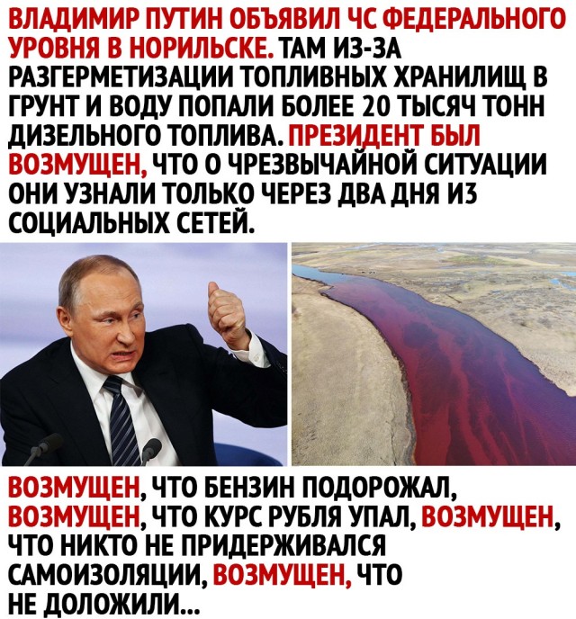 Чуток картинок 06.06.20