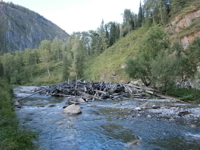 На конягах по Алтаю