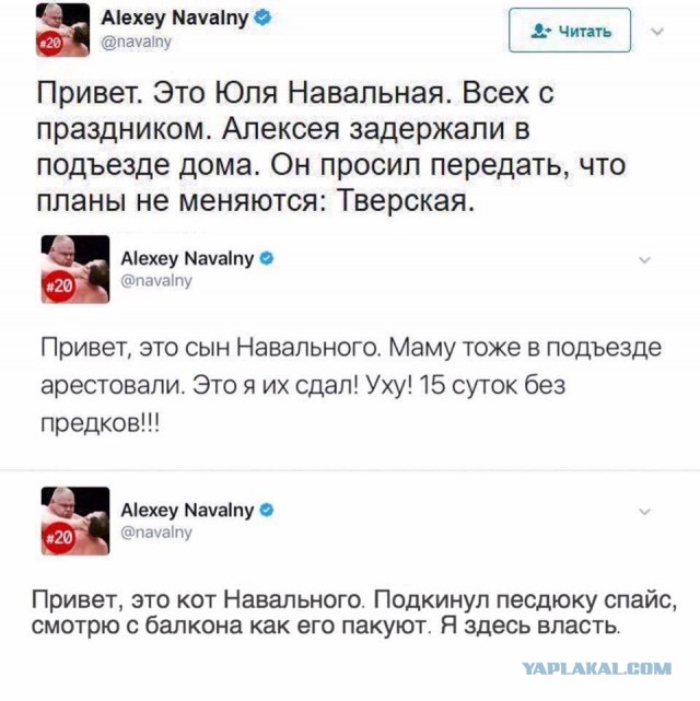 Мирная прогулка = ледовое побоище.