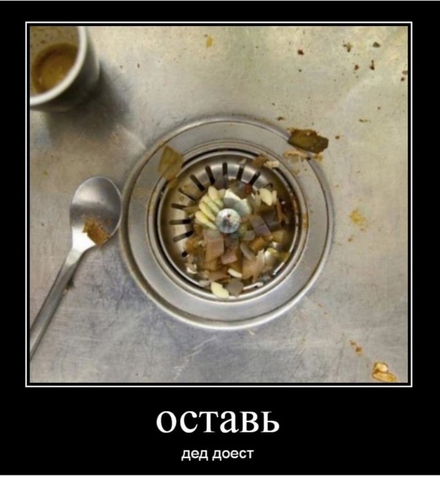Аморальная деградация