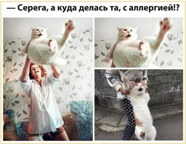 Картинки с надписями и всякие жизненные фразы 11.05.21