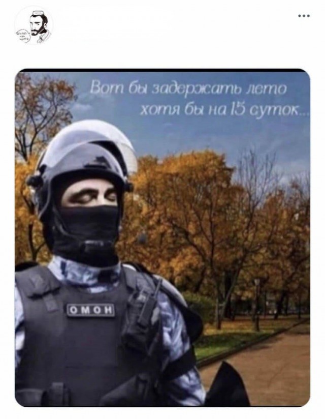 Весёлый полтишок 10.08