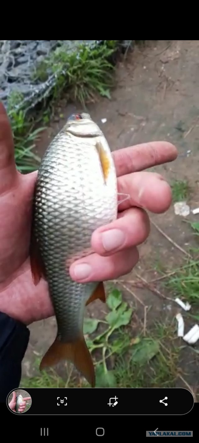 Рыбалка