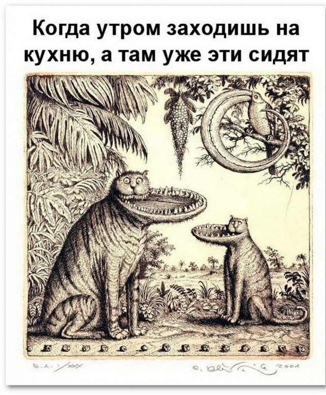 Картинки и мемы, всем прекрасных выходных