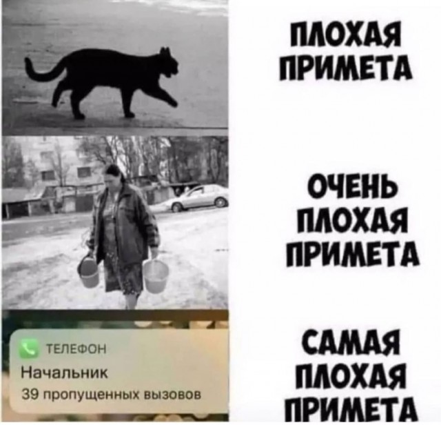 Юмор и прикольные картинки 11.11.2021