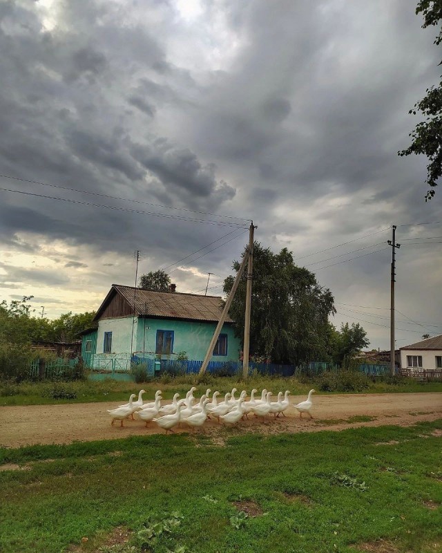Сам себя считаю