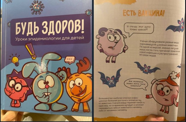 Пандемия. Коронавирус. Россия и мир. Часть 28