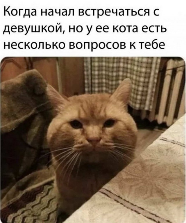 Картинки и мемы для настроения - 21