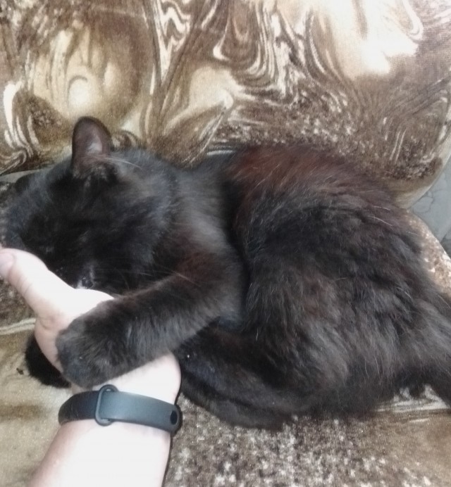 Начну котовторник чуть раньше!