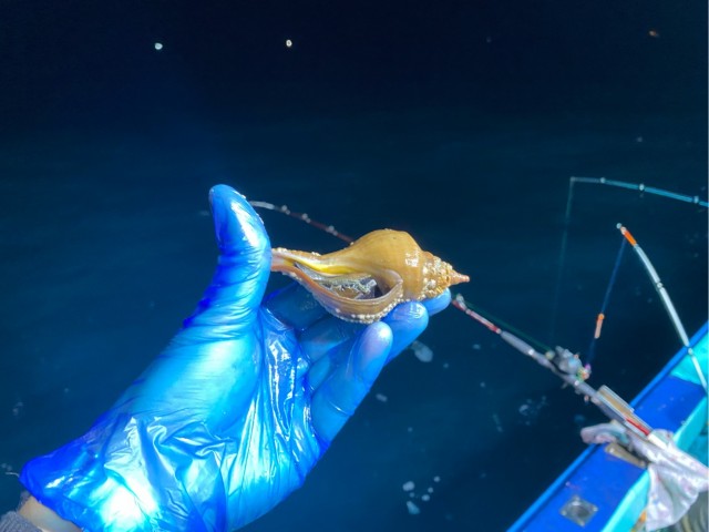 Дары моря