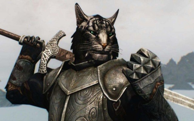 Рыцари коты