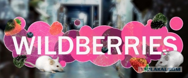 "Вы просто сдохнете": Дневник сотрудника Wildberries