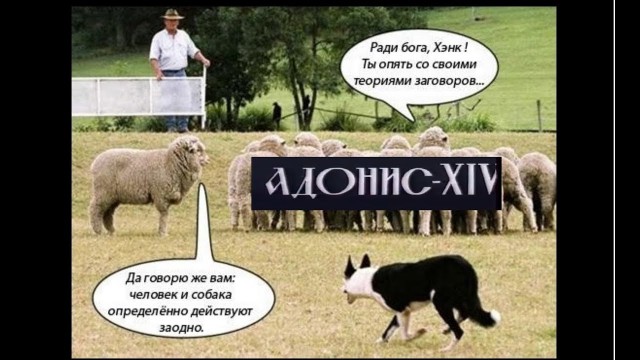 Пандемия съехавших крыш - разновидности болезни. Россия и мир. Часть 42.
