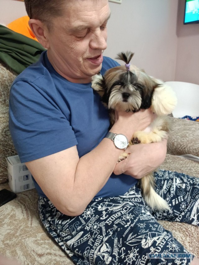 Ну чё, погнали наши городских!