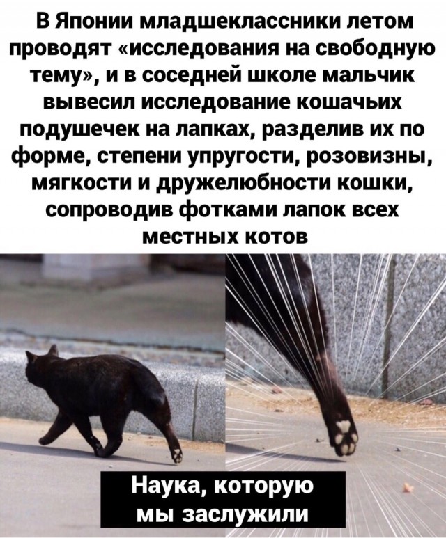 Немного картинок и прочей хреноты Vol. 24