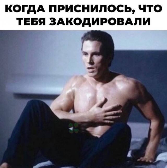 Весёлый полтишок 23.07.23