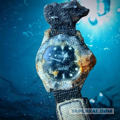 На дне Тихого океана нашли работающие часы Rolex