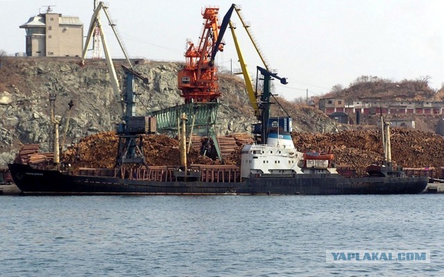 МореЯПа