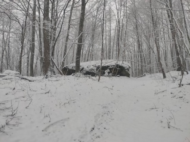 Урановая штольня