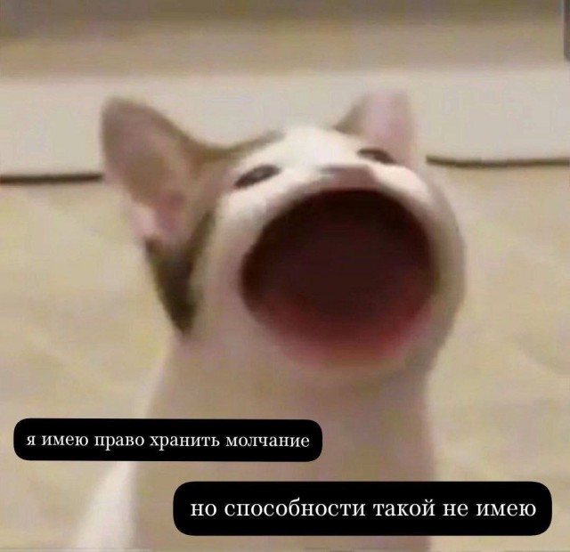 Всего понемногу. От 08.04.2024