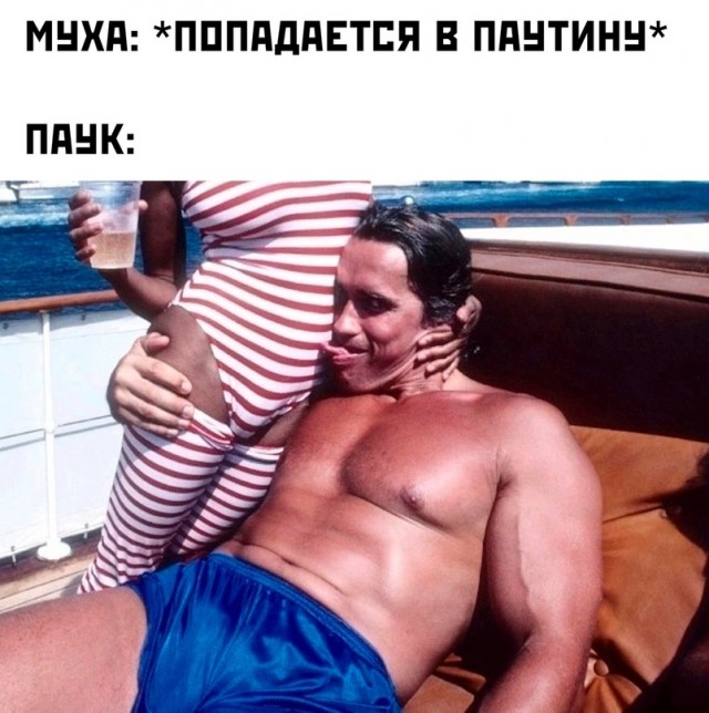 Весёлый полтишок 13.05 24