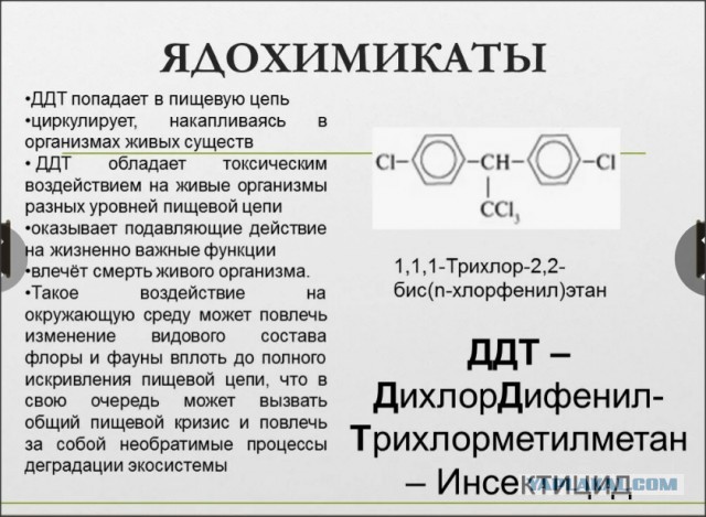 Дядя Юра