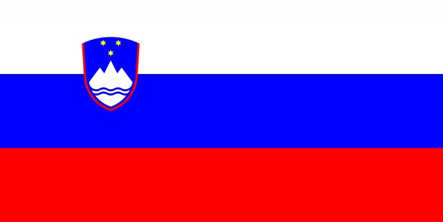Болельщиков с флагами России не пустили на игру Словения – Сербия, тогда россияне перевернули флаги и вошли через другой вход